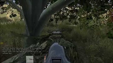 Dayz Standalone-Lucky log in