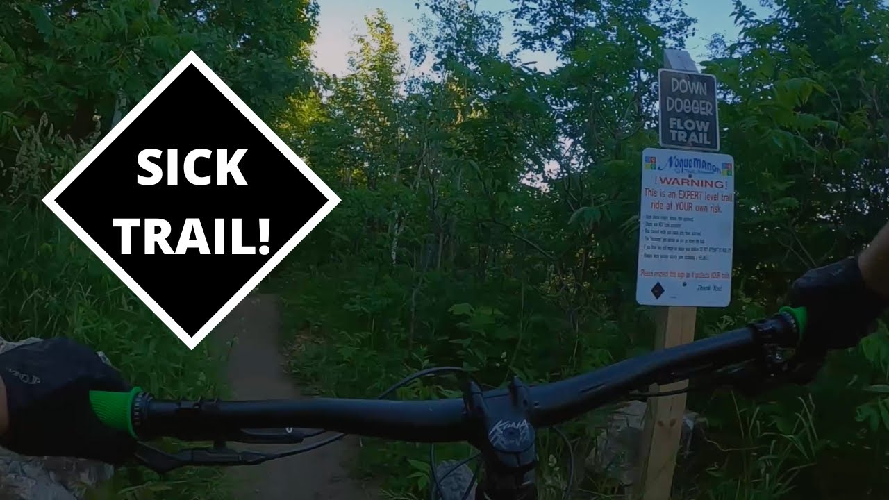 "Down Dogger" MTB Trail | Marquette, MI 2022