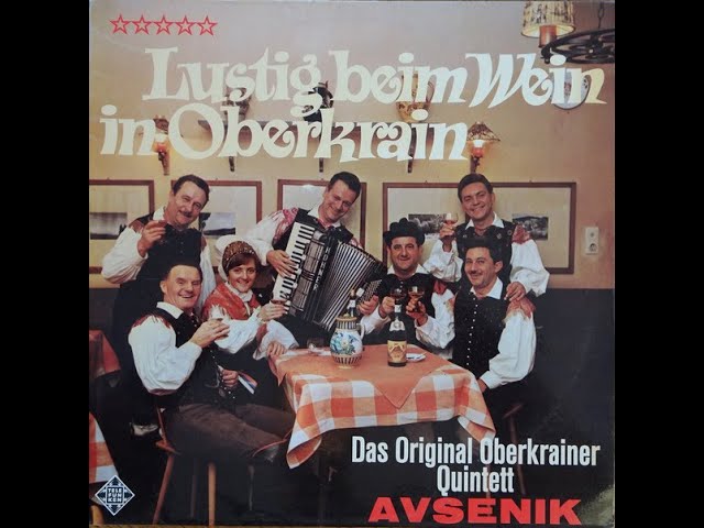 Slavko Avsenik und seine Original Oberkrainer - Hatschi Polka