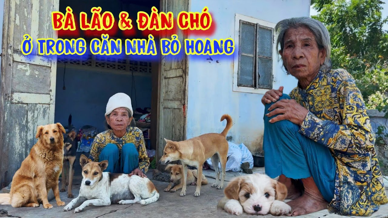 BÀ LÃO neo đơn, sống tạm bợ trong CĂN NHÀ bỏ hoang dột nát - tập 1620