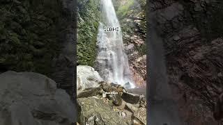 JIBHI - The Hidden Gem Of Himachal #jibhi #himachalpradesh #tirthanvalley #travel #nature