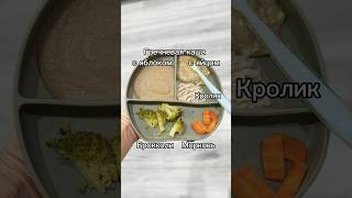 Новый продукт: кролик. Первый прикорм ❤️