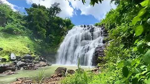 Chuột đến Thác Bàu Cạn Đội 3 Pleiku.