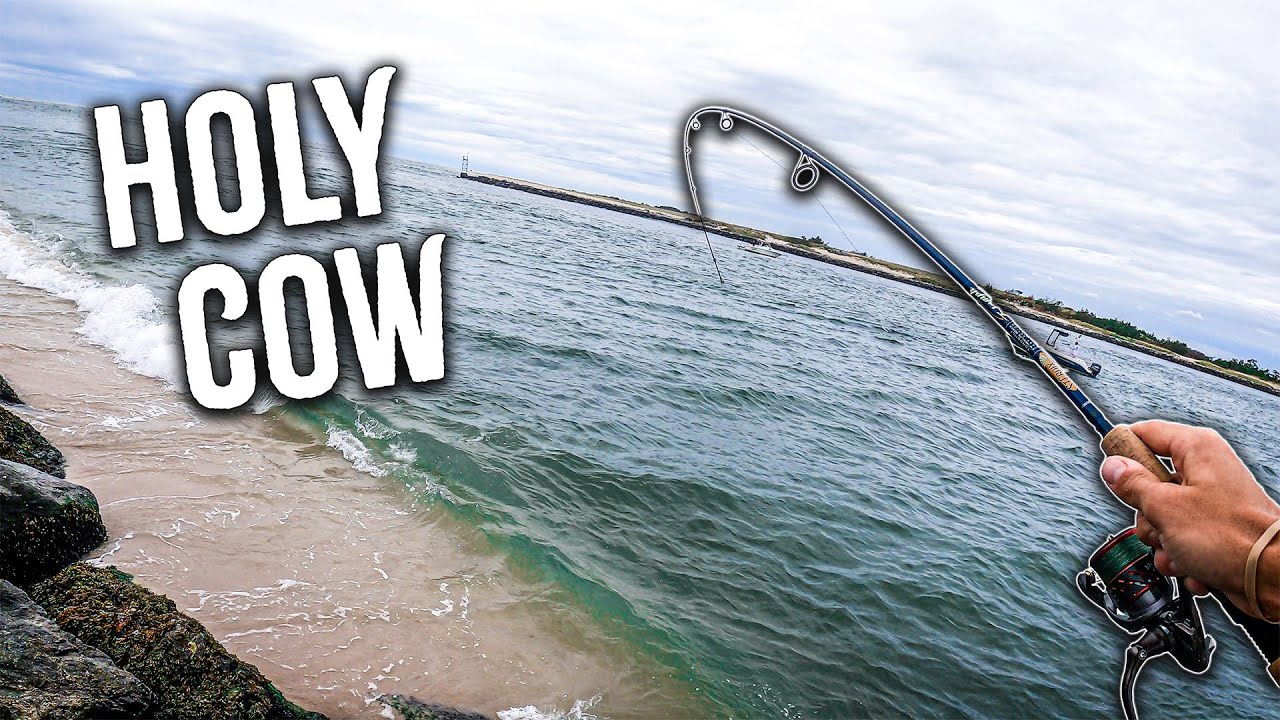 Finding the Early Fall FEEDING FRENZY!