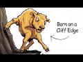 Why It Sucks To Be Born As a Golden Takin