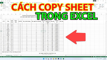 Cách Copy Sheet Trong Excel | Cách Copy Sheet Trong Excel Sang File Khác
