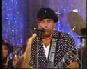 Black Sorrows - Come On Come On - Live Swedish TV