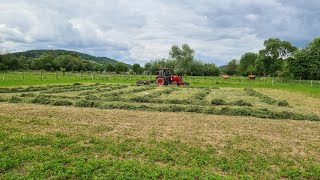 Malá Farma Bella [24] - Zem sa smeje kvetmi. Tráva, kvety, seno, opravy...