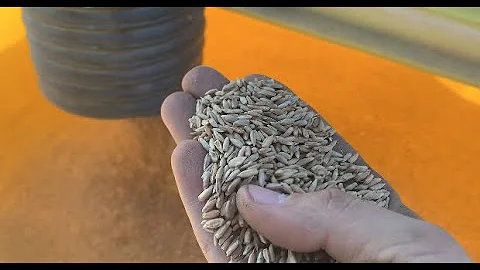 Drilling Cover Crops & Harvesting Soybeans!