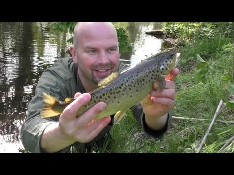 فيديو: هل يمكنك الصيد في مياه ديروينت؟