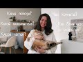 КОШКА В ДОМЕ 🐈 Обзор на 3 топовых гаджета от Petkit: кормушка, фонтанчик, лоток Pura Max