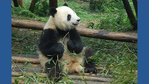 g3-video sent to yt from upload page