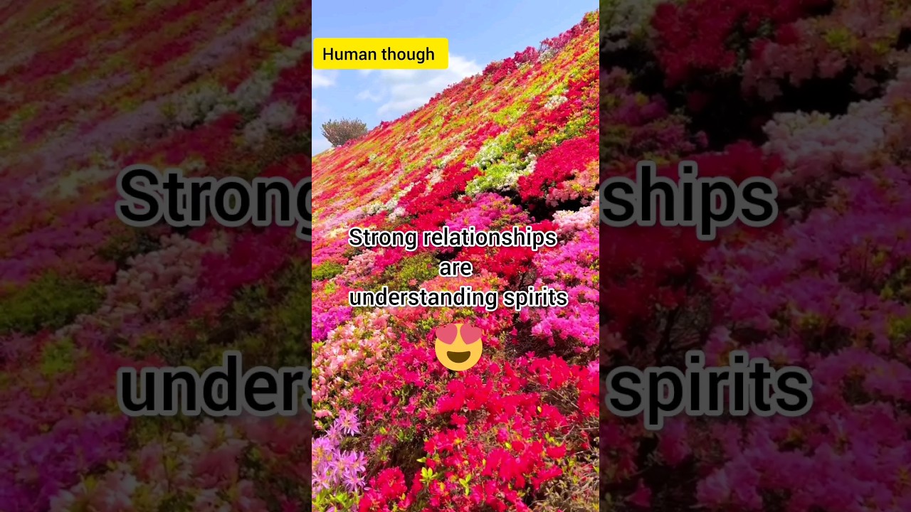 Building Strong and Lasting Relationships Through Understanding Spirits 