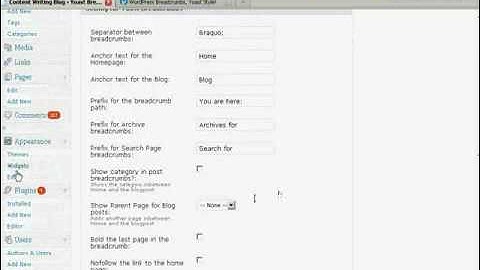 How To Install Wordpress Plugin on Blog - Wordpress Plugin Installation Video Tutorial