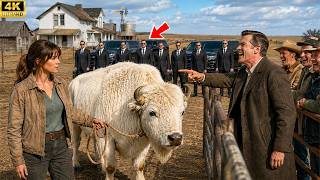 They Laughed at Her “Albino” Buffalo—Then Black SUVs Filled the Single Mom’s Yard