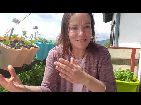 Življenje Je Veliko Lepše če Ga Delimo Z Drugimi Luneja