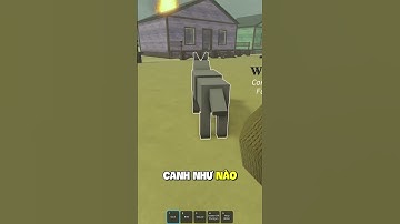 BUG SÓI BAY TRONG DEAD RAILS #roblox #reinsama #deadrails