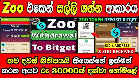 How to Claim $Zoo Airdrop to Bitget | Zoo Withdrawal in Bitget, Kucoin, Gate.io | Zoo Claim Sinhala