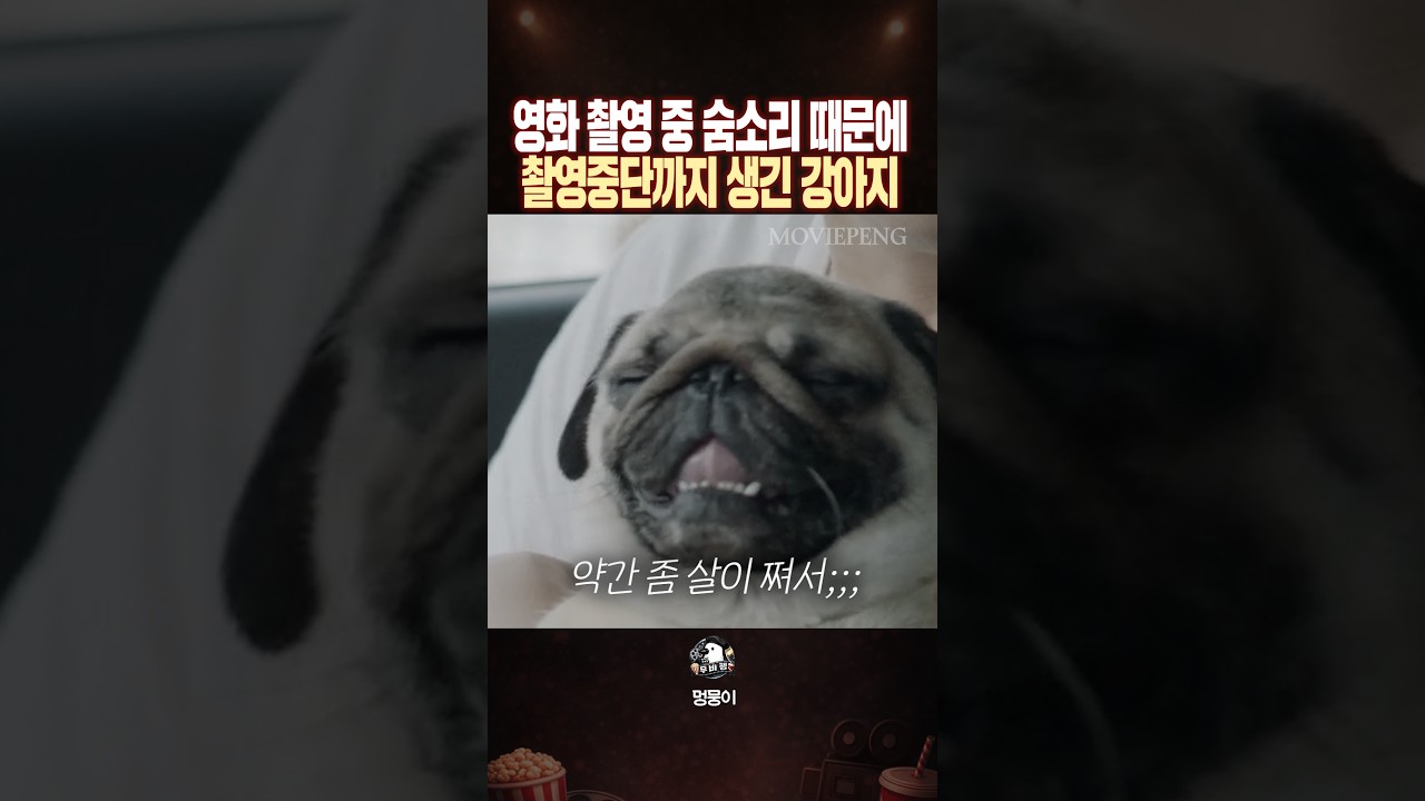 영화 촬영 중 숨소리 때문에 촬영중단까지 발생한 배우