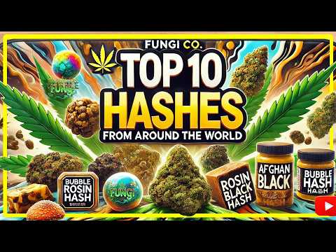Top 10 Hashes From Around The World FUNGI Co