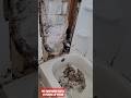 handyman hustle picking up steam #Handyman #diy #repairs #leak #maga #funny #eviction #rental