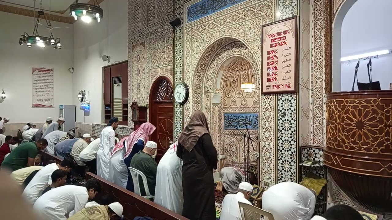 صلاة الوتر ودعاء القنوت للشيخ رائد باجورى 