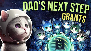 Meow on JUP: Learning Lessons & The DAO's Next Moves!