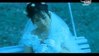 Nàng Yêu Hoa Tím - Phi Nhung | Official MV