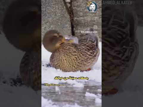 كن اقوى من الظروف