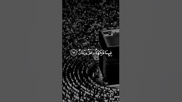 سورة الرحمن بصوت الشيخ ياسر الدوسري #اكسبلور #quran #دويتو #حالات_واتس