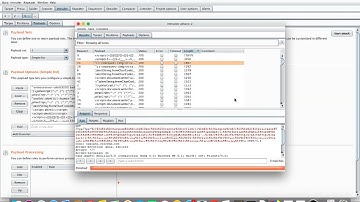 Bug Bounty | XSS Filter Bypass | Expert Techniques for Payload Delivery | 006