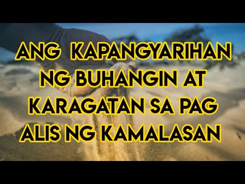 Video: Sa Pamamagitan Ng Prisma Ng Mga Taon, Buhangin At Yelo