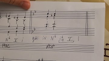 The Neapolitan Sixth Chord