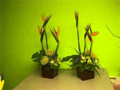 green-cymbidium-orchid-centerpieces-image-collection-flower-ideas