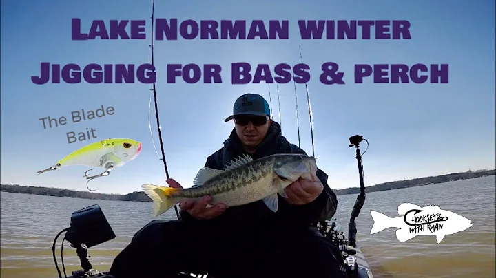 Lake Norman Winter Jigging for Bass & Perch