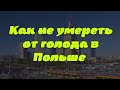 Сколько нужно денег на месяц для жизни в Польше?  Как не умереть с голоду в Польше?