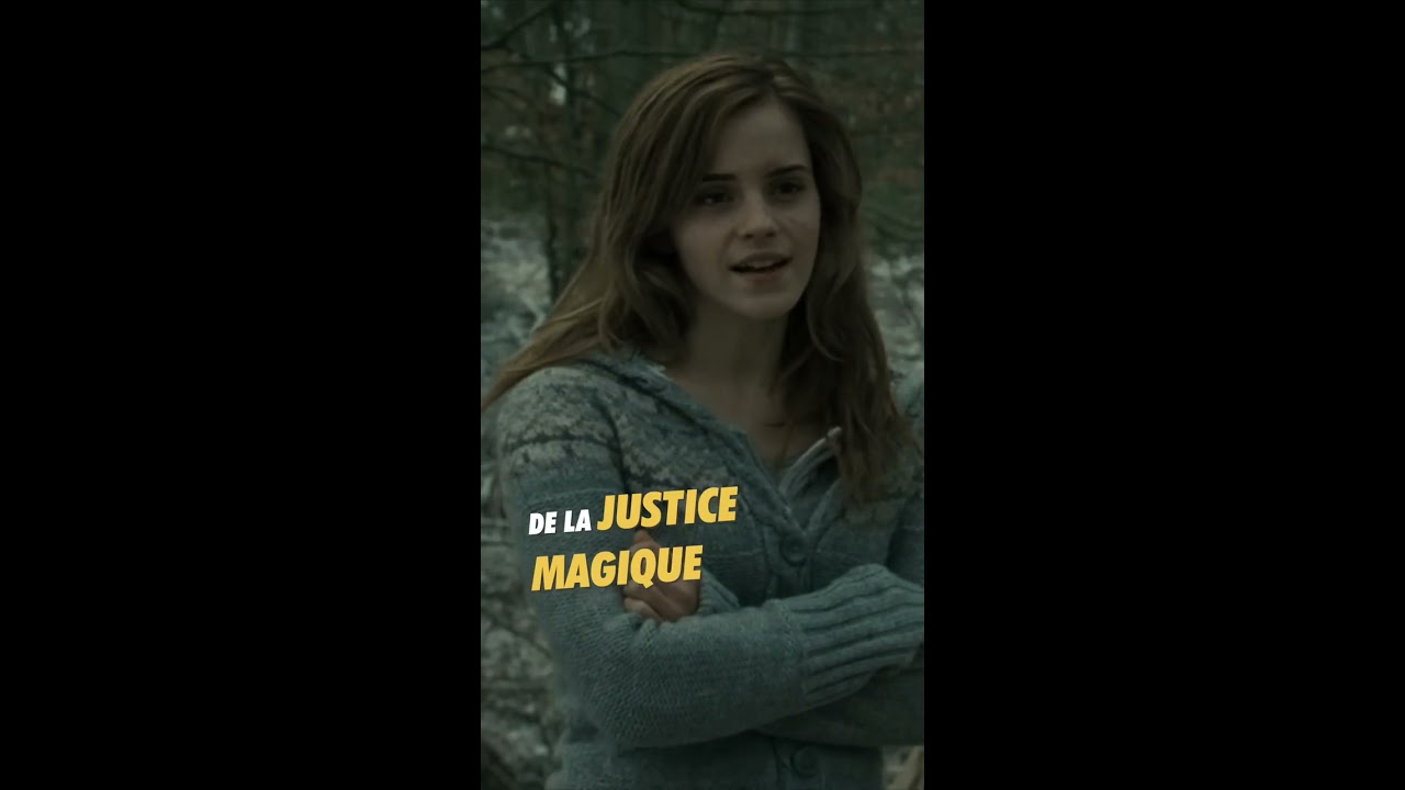  Que devient Hermione aprs Poudlard    harrypotter  hermione  poudlard