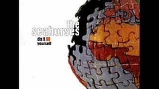 The Seahorses - Love is the Law chords