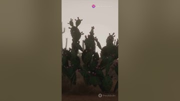 Bạn có biết sa mạc là nơi như thế nào không?