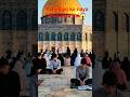 kiya masjidul aqsa sahid hone bala hai😱#aqsa#viralyoutubeshorts