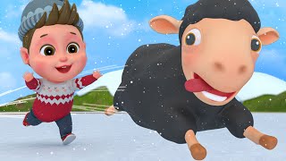 Baa Baa Black Sheep - Share With Animal Friends Cartoon - Animals Song | Bum Bum Kids Song