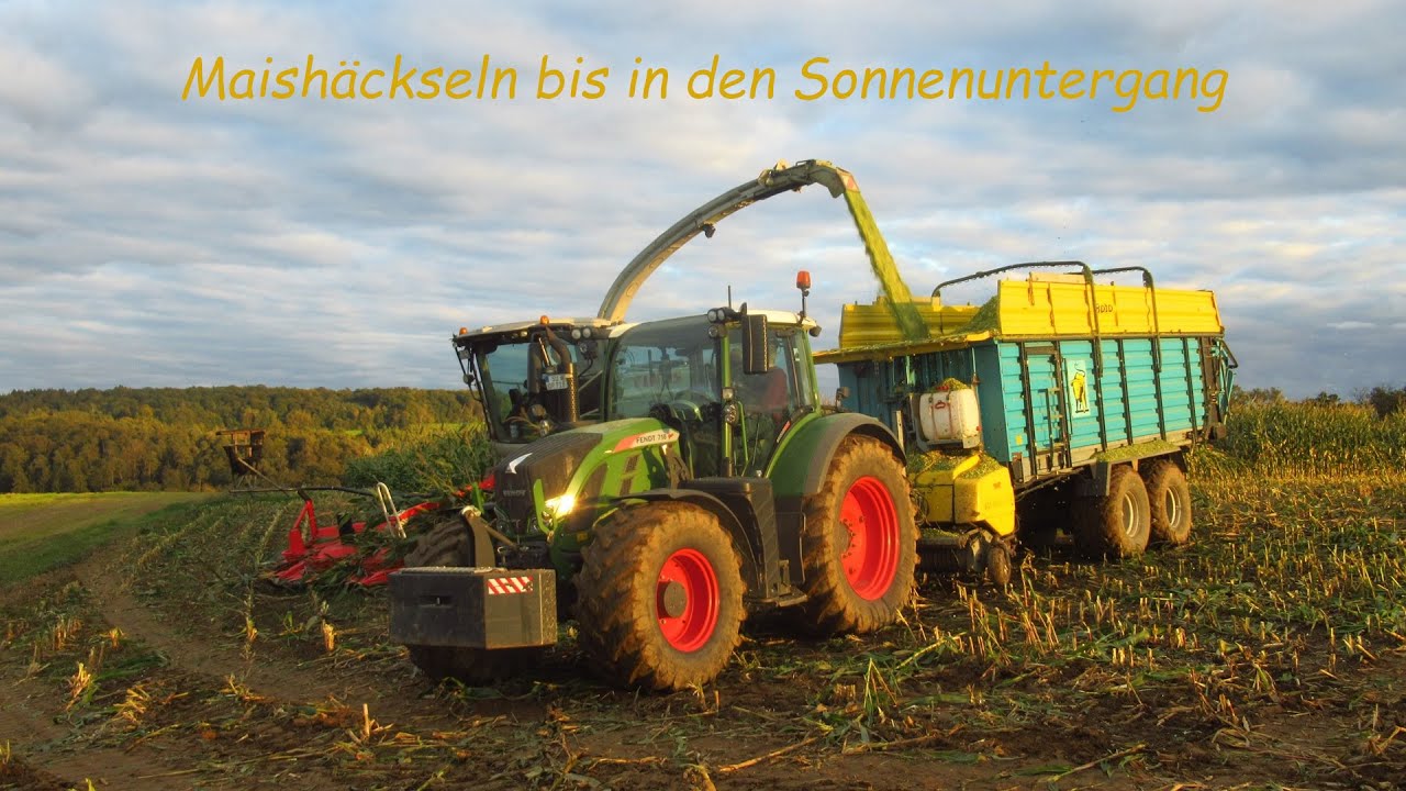 Maishäckseln 2024 | Claas Jaguar 950 | Fendt Vario 920 TMS | Drohne