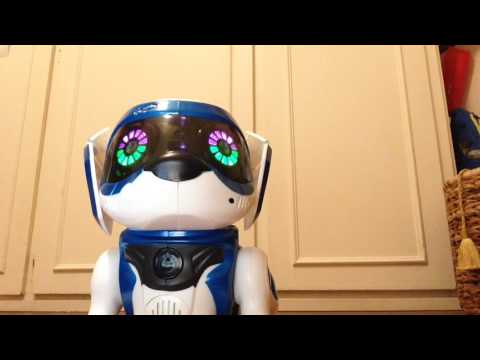Sony dévoile la nouvelle version de son chien robot Aibo Sony dévoile la nouvelle version de son chien robot Aibo