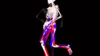 Kb Ba A 8 A Three Dimensional Muscle Driven Simulation Of Running