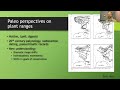 Ethics of Assisted Migration in the Pacific Northwest | September 2023 Fireside Chat