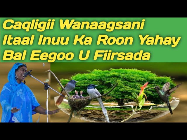 Eski turmush qurganlar porno