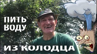 Пить воду из колодца. Вода в колодце чище, чем в родниках.