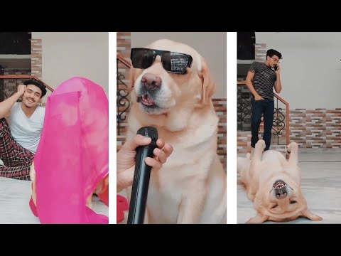 latest Dog comedy videos🤣 | viral🥴 | funny😂 | sharabi🍻 | singing dog🐶 | Anant rastogi