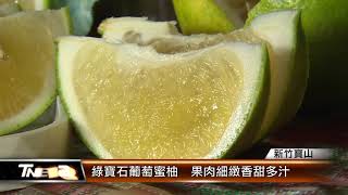 綠寶石葡萄蜜柚果肉細緻香甜多汁T-NEWS聯播網 