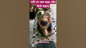 नंदी पर जल कहा और कैसे चढ़ाए #pradeepmishra #shiva #shiva #om #sawan #bholenath #shivay #shivling
